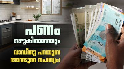വീടിന്റെ ഈ ഒരു മൂലയിൽ ഇതൊന്ന് വെച്ചു നോക്കൂ; പണം ഒഴുകിയെത്തുമെന്ന് വാസ്തു ശാസ്ത്രം!