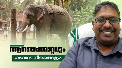 മൂകാംബികയിലേക്ക് ആനയെ ചോദിച്ച് കർണാടക, കേരളം വിട്ടുകൊടുക്കുമോ? നിയമങ്ങൾ പറയുന്നത് ഇങ്ങനെ