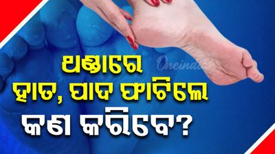 ଶୀତଦିନେ ହାତ, ପାଦ ଫାଟିଲେ କଣ କରିବେ? ଆପଣାନ୍ତୁ ଏହି ଉପାୟ