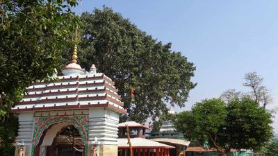 ମାର୍ଚ୍ଚ ୨୯ରୁ ଏପ୍ରିଲ ୨ ପର୍ଯ୍ୟନ୍ତ ଅନୁଷ୍ଠିତ ହେବ ମା' ମଝିଘରିଆଣୀଙ୍କ ଚୈତ୍ର ପର୍ବ