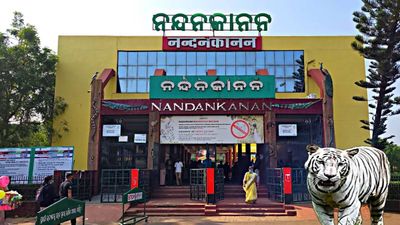 ନନ୍ଦନକାନନରୁ ଯିବେ ୩ ପ୍ରଜାତିର ୭ ଜୀବଜନ୍ତୁ , ଆସିବେ ୧୮ ଜୀବଜନ୍ତୁ