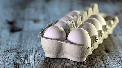 ଅଣ୍ଡା ପ୍ରେମୀଙ୍କ ପାଇଁ ଖୁସି ଖବର ; କମିଲା ରେଟ, ଜାଣନ୍ତୁ କେତେ?