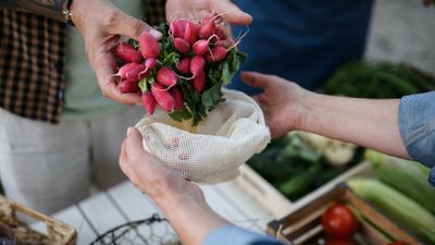 ଡମଣା ଓ ଭିଏସ୍ଏସ୍ ନଗର ହାଟ ହେବ ପ୍ଲାଷ୍ଟିକ ଫ୍ରି ମାର୍କେଟ, ଆରମ୍ଭ ହେଲେ ପ୍ରକ୍ରିୟା