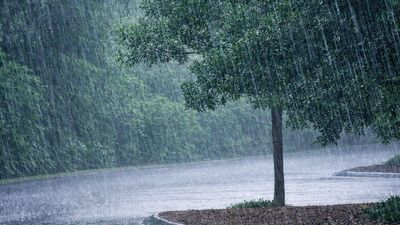 கணிப்பெல்லாம் பொய்யா கோபால்.. வருத்தப்பட வைத்த வடகிழக்குப் பருவமழை! 6 வருஷத்தில் இல்லாத மாற்றம்!