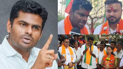 அண்ணாமலை 100க்கு 100.. மும்பை மாநகராட்சியில் பிரசாரம் செய்த அனைத்து வேட்பாளர்களும் வெற்றி! எடுபடாத சர்ச்சை