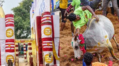  மதுரையில் ஜல்லிக்கட்டு ஏற்பாடுகள்.. “தீண்டாமை உறுதிமொழி கட்டாயம்” - வழிகாட்டு நெறிமுறைகள் வெளியீடு