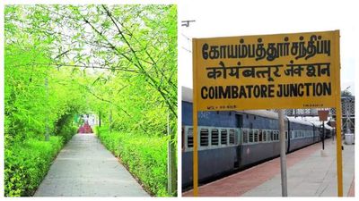 கோவை மக்களே செம்மொழி பூங்காவை விடுங்க.. சூப்பரான ஸ்பாட்டில் பிரமாண்டமாக அமையும் மூங்கில் பூங்கா