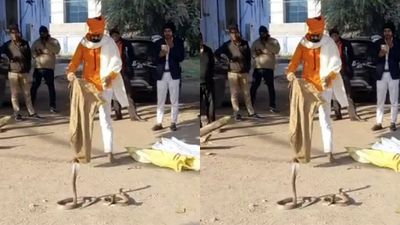 பாம்பு கடிச்சது எது? 3 நாகப்பாம்புகளுடன் அரசு மருத்துவமனைக்கு வந்த நபர்! டாக்டர் என்ன ஆனார் தெரியுமா