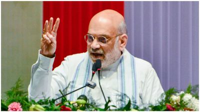 நாட்டில் இந்தி மொழியை ஊக்குவித்தால் தாய் மொழியும் சேர்ந்து வளருமாம்.. சொல்வது அமித்ஷா!