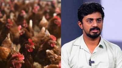 சென்னையை அலறவிடும் பறவை காய்ச்சல்.. மனிதர்களுக்கு பரவுமா? சிக்கன் சாப்பிடலாமா? மருத்துவர் விளக்கம் 