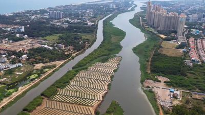 வணக்கம் சென்னை.. இது உங்களின் 3வது சதுப்பு நிலக்காடு..  பள்ளிக்கரணை பாணியில் பிரம்மாண்டம்