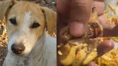 அதில் இருந்தது கோழி கால் இல்லை.. சொமாட்டோ பிரியாணி பார்சலில் இருந்தது? அலற விட்ட 28 நிமிட வீடியோ