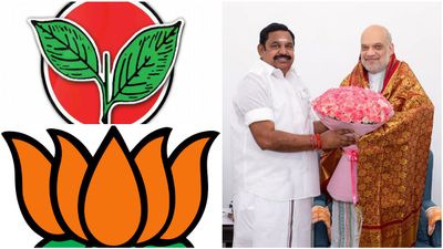 174 தொகுதிகளில் இரட்டை இலை.. அமித்ஷாவிடம் காய் நகர்த்திய எடப்பாடி.. 2029 கணக்கால் இறங்கி வந்த பாஜக!