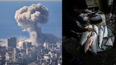 ஈரான் - அமெரிக்கா போர்.. நீங்கள் சாப்பிட போகும் மீன் உணவுகளை பாதிக்க போகுது! எப்படி தெரியுமா? 