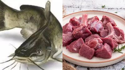 மட்டன் லவ்வர்ஸ் உஷார்.. ஆட்டின் இந்த பாகத்தை மட்டும் தெரியாம கூட வாங்கி சாப்பிடாதீங்க! வெளியான பகீர்