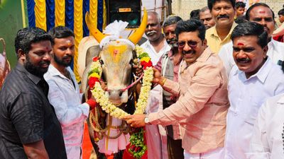 தேர்தல் களை வந்துருச்சு..மல்லுக்கட்டும் மதுரை தலைகள்! ஜல்லிக்கட்டு பக்கம் திரும்பிய டாக்டர்.சரவணன்!