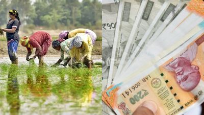 தமிழ்நாட்டில் 47 லட்சம் பேருக்கு.. வங்கி கணக்கிற்கு வரும் ரூ.2000.. உடனே இதை பண்ணாதான் கிடைக்கும்! 