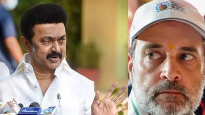 கேரளா போனவருக்கு.. இங்கே வர டைம் இருக்காதா.. சொதப்பும் காங்.. ஸ்டாலினை தவிக்கவிடுகிறாரா ராகுல்?