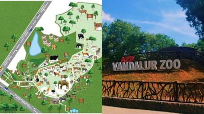 வண்டலூரில் விழுந்த சூப்பர் சர்ப்ரைஸ்! உயிரியல் பூங்காவில் வரப்போகும் வசதி! சுற்றுலா பயணிகளுக்கு ஜாலி