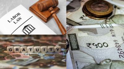 ஒப்பந்த ஊழியர்களுக்கு ஜாக்பாட்! புதிய தொழிலாளர் சட்டத்தில் கிராஜுவிட்டி எப்படி கணக்கிடப்படும்? விளக்கம்