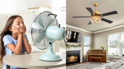 சீலிங் ஃபேன் அல்லது டேபிள் ஃபேன்.. எது பெஸ்ட்? அதிக காற்றும் வேணும், கரண்ட் பில்லும் குறையணுமா?
