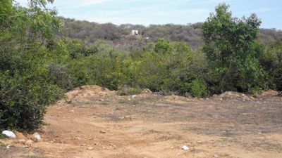 செங்கல்பட்டு மலையில் மாணவர்கள் ஜாலி டிரெக்கிங்.. கனவிலும் நினைக்காத சம்பவம்