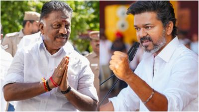 விஜய்யின் அரசியல் எதிர்காலம்.. ஓ பன்னீர்செல்வம் அடித்த ஒன்லைன் பன்ச்