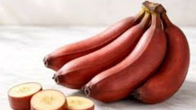 செவ்வாழை சாப்பிடுவதால் கிடைக்கும் நன்மைகள் -  தினமும் சாப்பிட்டால் என்ன ஆகும் தெரியுமா?