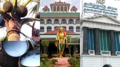  கள் இறக்க தடை விதிக்கப்பட்டுள்ளது ஏன்? ஐகோர்ட் கிளையில் தமிழக அரசு சொன்ன தகவல்!