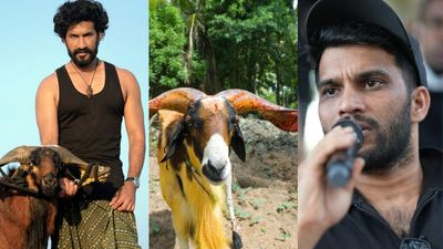 ஜல்லிக்கட்டு மட்டுமில்ல.. மதுரை கிடா சண்டையை உலகிற்கு கொண்டு வந்த மலையாள இயக்குனர்! பின்னணி நெகிழ்ச்சி