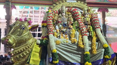 வெள்ளி ரிஷபத்தில் வீதியுலா வந்த மீனாட்சி.. சொர்க்கம் போல் மாறிய மாமதுரை! காணக் கண் கோடி வேண்டுமே!