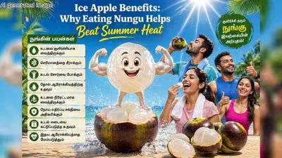 Ice Apple: நுங்கு சாப்பிடுங்க பங்கு! பனை கொடுத்த கொடை.. வெயில் கால நோயெல்லாம் வேகமா ஓடிப் போயிடும்!