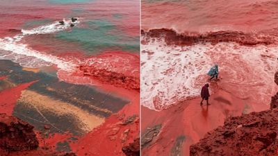 ஹார்முஸில் வழிந்தோடும் ‘ரத்தம்’? பீதியில் உலக நாடுகள்.. கண்ணி வெடிகள் வேற குவிந்து கிடக்குதே