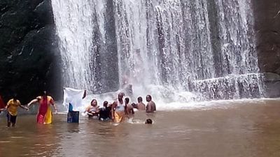 Thalaiyuthu: ஒட்டன்சத்திரம் தலையூத்து அருவிக்கு செல்ல ஏன் தடை? 4 கரூர் இளைஞர்கள் பலியானது எப்படி?