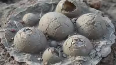 தோண்டத் தோண்ட சீனாவில் வெளிவந்த 30 விசித்திர உருண்டைகள்.. 8 கோடி வருசத்துக்கு பிறகு.. செம ட்விஸ்ட்