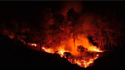 ஒரு வாரமாக பற்றி எரியும் நீலகிரி.. 5,000 ஏக்கர் வனப்பகுதி சேதம்.. ஹெலிகாப்டர் முயற்சியும் தோல்வி