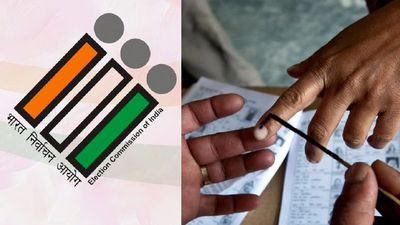 தமிழக சட்டசபை தேர்தலில் வாக்களித்த வெளிநாடு வாழ் குடியுரிமை பெற்ற 25 பேர் கைது