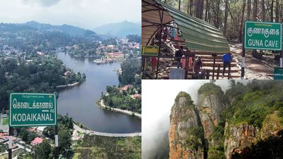 கொடைக்கானலில் 4 சுற்றுலா தலங்களுக்கு கட்டணம் கிடையாது! சுற்றுலா பயணிகளுக்கு வனத்துறை குட் நியூஸ்!