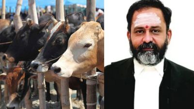 இஸ்லாமிய மன்னர்களே பசுக்களை வெட்டியது இல்லை.. தீர்ப்பில் நீதிபதி ஜி.ஆர் சுவாமிநாதன் சொன்னது என்ன?