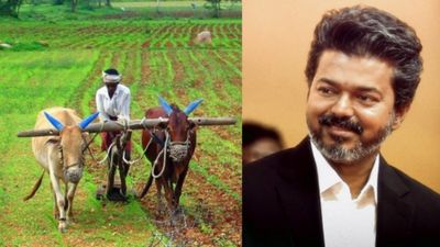 மாட்டிக்கிட்ட பங்கு..பயிர்க் கடன் தள்ளுபடி! ரூல்ஸ் தெரியாமல் சிக்கிய விஜய்! நேக்காக எஸ்கேப்பான திமுக