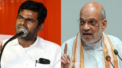 கொஞ்சம் பொறுமையா இருங்க ஜி! தனித் தவில் வாசிக்க தயாரான அண்ணாமலை! அமைதிப்படுத்த இறங்கிய அமித் ஷா?