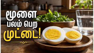 முட்டை சாப்பிட்டால் மூளை மின்னல் வேகத்தில் வேலை செய்யுமா? இதோ ஆச்சரியமான உண்மைகள்!