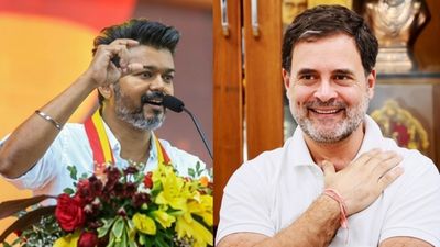 விஜய்யுடன் கைகோர்க்கும் காங்கிரஸ்? ராகுலுக்கு போன முக்கிய ரிப்போர்ட்! போன் பேசியதன் பின்னணி