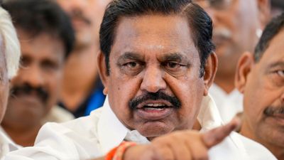 வாழை மரமா? ஆல மரமா? அந்தரத்தில் தொங்குதே அதிமுக! எடப்பாடிக்கு இன்னும் ஒரே ஒரு சான்ஸ் இருக்கு! என்ன?