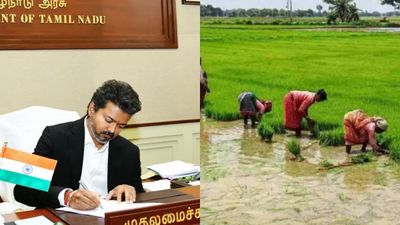 “இதுக்கு பருத்திமூட்டை குடோன்லயே இருந்திருக்கலாமே”! விஜய்யின் பயிர்க்கடன் ரத்து.. விவசாயிகள் அப்செட்