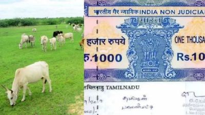 கிராம நத்தம், மேய்க்கால் நிலங்களுக்கு இடையே வித்தியாசம் என்ன தெரியுமா? எதற்கு பட்டா கிடைக்கும்