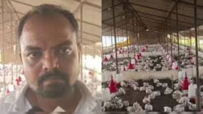 பண்ணையில் கொத்துக் கொத்தாக சரிந்த 140 கோழிகள்! அதிக பாட்டு சத்தத்தால் ஹார்ட் அட்டாக்! பின்னணி என்ன