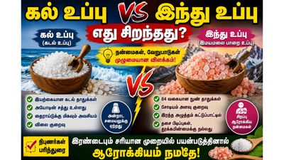 Rock Salt Vs Himalayan salt: கல் உப்பு, இந்து உப்பு- இரண்டில் எது பெஸ்ட்! என்ன காரணம்?