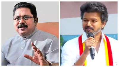 அதிமுகவை அழிக்க தவெக முயற்சி.. செங்கோட்டையன் மெகா திட்டம்.. புட்டு புட்டு வைத்த தினகரன்