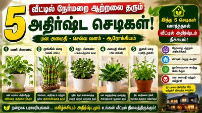 காசு மேல காசு.. உங்க வாசல் கதவை ராஜலட்சுமி தட்டுற நேரம் வேண்டுமா? இந்த 5 செடிகளை வீட்ல வளருங்க!